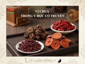 Vị chua (toan) trong y học cổ truyền