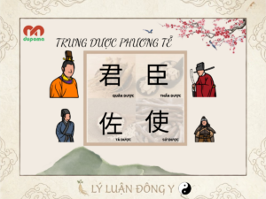 Ý nghĩa của Quân dược trong Quân - Thần - Tá - Sứ của phương tễ