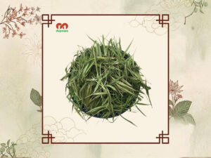 dược liệu trúc diệp