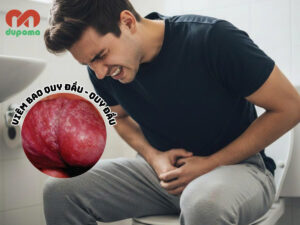 Viêm quy đầu - viêm bao quy đầu