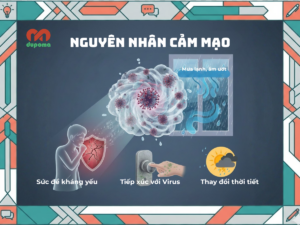 Nguyên nhân cảm mạo