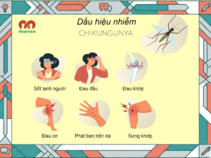 Triệu chứng của bệnh Chikungunya