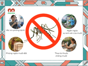 Phòng tránh bệnh Chikungunya