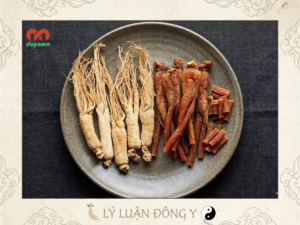 Hồng Sâm và Bạch Sâm