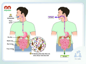Trung tiện – Xì hơi – Đánh rắm