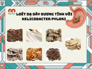 Loét dạ dày dương tính Hp