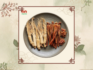 Hồng Sâm và Bạch Sâm