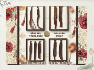 Phân loại Hồng Sâm
