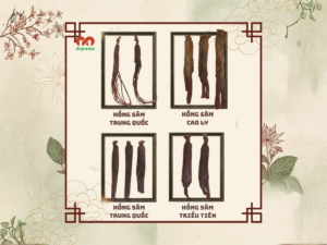 Phân loại Hồng Sâm