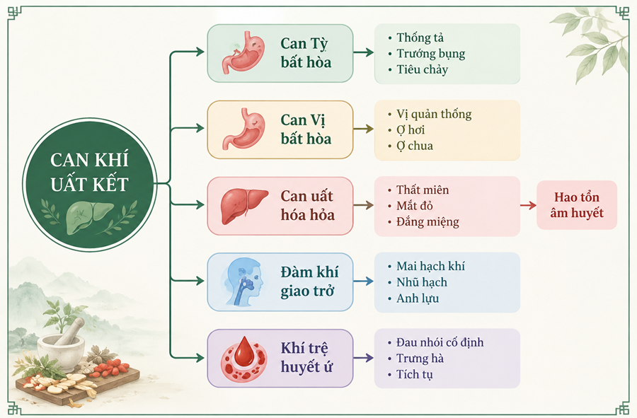 Các hướng phát triển của chứng Can khí uất kết